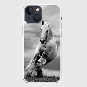 Чехол для iPhone 13 mini с принтом Белая лошадь в Санкт-Петербурге,  |  | animal | beautiful | gloss | horse | mane | mustang | muzzle | nature | white | wild | белый | грива | дикий | животное | конь | красивый | лоск | лошадь | мустанг | природа | скакун