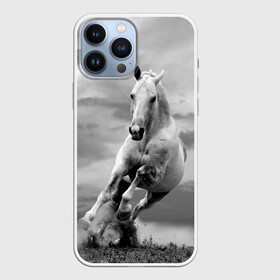 Чехол для iPhone 13 Pro Max с принтом Белая лошадь в Санкт-Петербурге,  |  | animal | beautiful | gloss | horse | mane | mustang | muzzle | nature | white | wild | белый | грива | дикий | животное | конь | красивый | лоск | лошадь | мустанг | природа | скакун