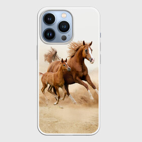 Чехол для iPhone 13 Pro с принтом Лошадь с жеребенком в Санкт-Петербурге,  |  | animal | baby | beautiful | brown | desert | foal | horse | mustang | nature | wild | дикий | жеребенок | животное | конь | коричневый | красивый | лошадь | малыш | мустанг | природа | пустыня | скакун
