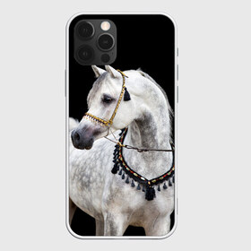 Чехол для iPhone 12 Pro Max с принтом Серый в яблоках конь в Санкт-Петербурге, Силикон |  | animal | beautiful | black | eyes | gloss | gray | harness | horse | in apples | look | muzzle | spotted | white | белый | в яблоках | взгляд | глаза | животное | конь | красивый | лоск | лошадь | пятнистый | сбруя | серый | скакун | черный