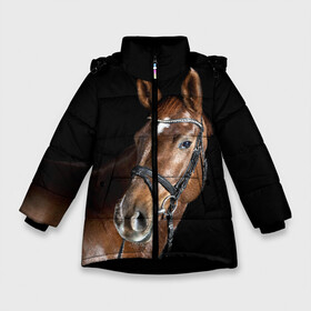 Зимняя куртка для девочек 3D с принтом Гнедая лошадь в Санкт-Петербурге, ткань верха — 100% полиэстер; подклад — 100% полиэстер, утеплитель — 100% полиэстер. | длина ниже бедра, удлиненная спинка, воротник стойка и отстегивающийся капюшон. Есть боковые карманы с листочкой на кнопках, утяжки по низу изделия и внутренний карман на молнии. 

Предусмотрены светоотражающий принт на спинке, радужный светоотражающий элемент на пуллере молнии и на резинке для утяжки. | animal | beautiful | black | brown | eyes | gloss | horse | look | muscles | muzzle | portrait | взгляд | глаза | гнедая | животное | конь | коричневый | красивый | лоск | лошадь | мускулы | портрет | скакун | черный