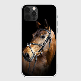 Чехол для iPhone 12 Pro Max с принтом Гнедая лошадь в Санкт-Петербурге, Силикон |  | animal | beautiful | black | brown | eyes | gloss | harness | horse | look | muzzle | взгляд | глаза | гнедая | гнедой | животное | конь | коричневый | красивый | лоск | лошадь | сбруя | скакун | черный