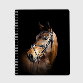 Тетрадь с принтом Гнедая лошадь в Санкт-Петербурге, 100% бумага | 48 листов, плотность листов — 60 г/м2, плотность картонной обложки — 250 г/м2. Листы скреплены сбоку удобной пружинной спиралью. Уголки страниц и обложки скругленные. Цвет линий — светло-серый
 | animal | beautiful | black | brown | eyes | gloss | harness | horse | look | muzzle | взгляд | глаза | гнедая | гнедой | животное | конь | коричневый | красивый | лоск | лошадь | сбруя | скакун | черный