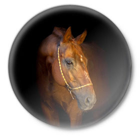 Значок с принтом Гнедая лошадь в Санкт-Петербурге,  металл | круглая форма, металлическая застежка в виде булавки | animal | beautiful | black | brown | eyes | gloss | harness | horse | look | muzzle | взгляд | глаза | гнедой | животное | конь | коричневый | красивый | лоск | лошадь | сбруя | скакун | черный
