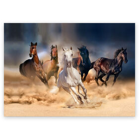 Поздравительная открытка с принтом Табун в Санкт-Петербурге, 100% бумага | плотность бумаги 280 г/м2, матовая, на обратной стороне линовка и место для марки
 | Тематика изображения на принте: animal | beautiful | black | brown | desert | gloss | herd | horse | mane | mustang | muzzle | nature | sand | white | wild | белый | грива | дикий | животное | конь | коричневый | красивый | лоск | лошадь | мустанг | песок | природа | пусты