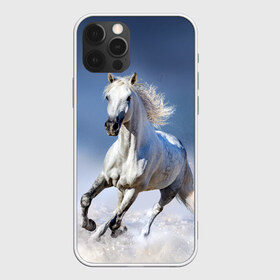 Чехол для iPhone 12 Pro Max с принтом Белая лошадь в Санкт-Петербурге, Силикон |  | animal | beautiful | gloss | horse | mane | mustang | muzzle | nature | snow | white | wild | winter | белый | грива | дикий | животное | зима | конь | красивый | лоск | лошадь | мустанг | природа | скакун | снег