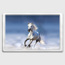Магнит 45*70 с принтом Белая лошадь в Санкт-Петербурге, Пластик | Размер: 78*52 мм; Размер печати: 70*45 | animal | beautiful | gloss | horse | mane | mustang | muzzle | nature | snow | white | wild | winter | белый | грива | дикий | животное | зима | конь | красивый | лоск | лошадь | мустанг | природа | скакун | снег