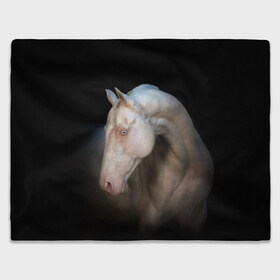 Плед 3D с принтом Белая лошадь в Санкт-Петербурге, 100% полиэстер | закругленные углы, все края обработаны. Ткань не мнется и не растягивается | animal | black | breed | horse | muscle | muzzle | strength | unusual | white | белый | животное | конь | лошадь | мышцы | необычный | порода | сила | скакун