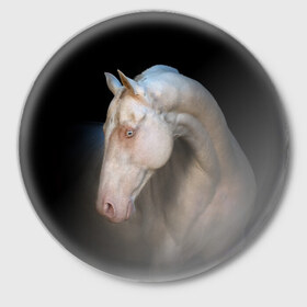 Значок с принтом Белая лошадь в Санкт-Петербурге,  металл | круглая форма, металлическая застежка в виде булавки | animal | black | breed | horse | muscle | muzzle | strength | unusual | white | белый | животное | конь | лошадь | мышцы | необычный | порода | сила | скакун