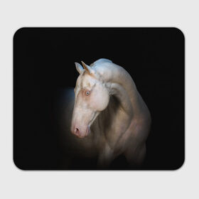 Коврик для мышки прямоугольный с принтом Белая лошадь в Санкт-Петербурге, натуральный каучук | размер 230 х 185 мм; запечатка лицевой стороны | Тематика изображения на принте: animal | black | breed | horse | muscle | muzzle | strength | unusual | white | белый | животное | конь | лошадь | мышцы | необычный | порода | сила | скакун