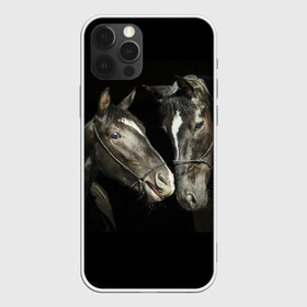 Чехол для iPhone 12 Pro Max с принтом Лошади в Санкт-Петербурге, Силикон |  | animal | beautiful | black | couple | eyes | gloss | harness | horse | look | muzzle | взгляд | глаза | животное | конь | красивый | лоск | лошади | пара | сбруя | скакуны | черные