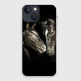 Чехол для iPhone 13 mini с принтом Лошади в Санкт-Петербурге,  |  | animal | beautiful | black | couple | eyes | gloss | harness | horse | look | muzzle | взгляд | глаза | животное | конь | красивый | лоск | лошади | пара | сбруя | скакуны | черные