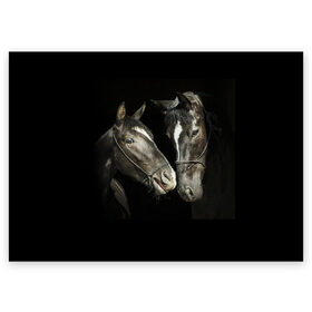 Поздравительная открытка с принтом Лошади в Санкт-Петербурге, 100% бумага | плотность бумаги 280 г/м2, матовая, на обратной стороне линовка и место для марки
 | animal | beautiful | black | couple | eyes | gloss | harness | horse | look | muzzle | взгляд | глаза | животное | конь | красивый | лоск | лошади | пара | сбруя | скакуны | черные