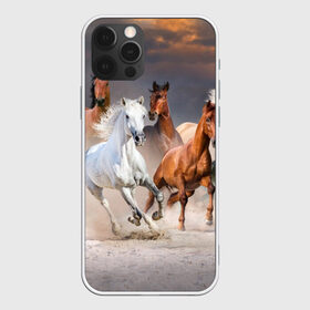 Чехол для iPhone 12 Pro Max с принтом Табун в Санкт-Петербурге, Силикон |  | animal | beautiful | black | brown | desert | gloss | herd | horse | mane | mustang | muzzle | nature | sand | white | wild | белый | грива | дикий | животное | конь | коричневый | красивый | лоск | лошадь | мустанг | песок | природа | пусты