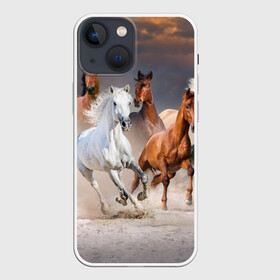 Чехол для iPhone 13 mini с принтом Табун в Санкт-Петербурге,  |  | animal | beautiful | black | brown | desert | gloss | herd | horse | mane | mustang | muzzle | nature | sand | white | wild | белый | грива | дикий | животное | конь | коричневый | красивый | лоск | лошадь | мустанг | песок | природа | пусты