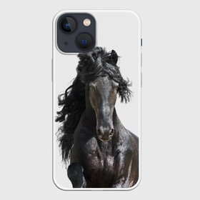 Чехол для iPhone 13 mini с принтом Лошадь в Санкт-Петербурге,  |  | animal | beautiful | black | horse | mane | mustang | muzzle | wild | грива | дикий | животное | конь | красивый | лошадь | мустанг | скакун | черный