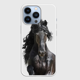 Чехол для iPhone 13 Pro с принтом Лошадь в Санкт-Петербурге,  |  | animal | beautiful | black | horse | mane | mustang | muzzle | wild | грива | дикий | животное | конь | красивый | лошадь | мустанг | скакун | черный