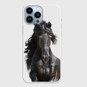 Чехол для iPhone 13 Pro Max с принтом Лошадь в Санкт-Петербурге,  |  | animal | beautiful | black | horse | mane | mustang | muzzle | wild | грива | дикий | животное | конь | красивый | лошадь | мустанг | скакун | черный