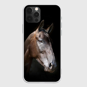 Чехол для iPhone 12 Pro Max с принтом Лошадь в Санкт-Петербурге, Силикон |  | animal | beautiful | black | brown | horse | muzzle | portrait | животное | конь | коричневый | красивый | лошадь | портрет | скакун | черный