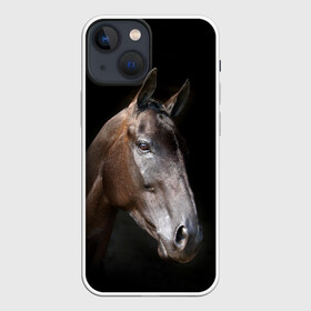 Чехол для iPhone 13 mini с принтом Лошадь в Санкт-Петербурге,  |  | animal | beautiful | black | brown | horse | muzzle | portrait | животное | конь | коричневый | красивый | лошадь | портрет | скакун | черный