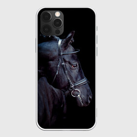 Чехол для iPhone 12 Pro Max с принтом Конь вороной в Санкт-Петербурге, Силикон |  | animal | beautiful | black | eyes | gloss | hairstyle | harness | horse | look | muzzle | взгляд | вороной | глаза | животное | конь | красивый | лоск | лошадь | прическа | сбруя | скакун | черный