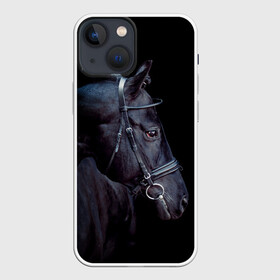Чехол для iPhone 13 mini с принтом Конь вороной в Санкт-Петербурге,  |  | Тематика изображения на принте: animal | beautiful | black | eyes | gloss | hairstyle | harness | horse | look | muzzle | взгляд | вороной | глаза | животное | конь | красивый | лоск | лошадь | прическа | сбруя | скакун | черный