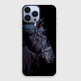 Чехол для iPhone 13 Pro Max с принтом Конь вороной в Санкт-Петербурге,  |  | Тематика изображения на принте: animal | beautiful | black | eyes | gloss | hairstyle | harness | horse | look | muzzle | взгляд | вороной | глаза | животное | конь | красивый | лоск | лошадь | прическа | сбруя | скакун | черный
