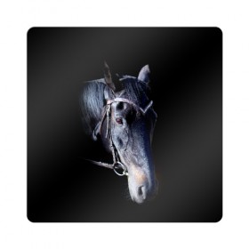 Магнит виниловый Квадрат с принтом Конь вороной в Санкт-Петербурге, полимерный материал с магнитным слоем | размер 9*9 см, закругленные углы | Тематика изображения на принте: animal | beautiful | black | eyes | gloss | hairstyle | harness | horse | look | muzzle | взгляд | вороной | глаза | животное | конь | красивый | лоск | лошадь | прическа | сбруя | скакун | черный