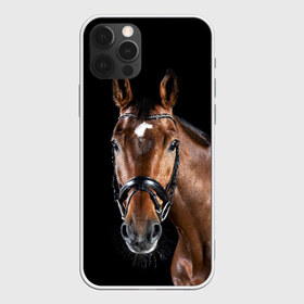 Чехол для iPhone 12 Pro Max с принтом Гнедая лошадь в Санкт-Петербурге, Силикон |  | animal | beautiful | black | brown | eyes | gloss | harness | horse | look | muzzle | взгляд | глаза | гнедая | животное | конь | коричневый | красивый | лоск | лошадь | сбруя | скакун | черный
