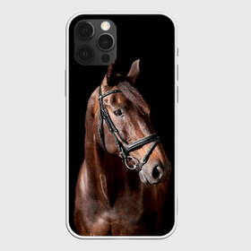 Чехол для iPhone 12 Pro Max с принтом Гнедая лошадь в Санкт-Петербурге, Силикон |  | Тематика изображения на принте: animal | beautiful | black | brown | eyes | gloss | harness | horse | look | muzzle | взгляд | глаза | гнедая | животное | конь | коричневый | красивый | лоск | лошадь | сбруя | скакун | черный