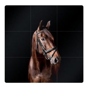 Магнитный плакат 3Х3 с принтом Гнедая лошадь в Санкт-Петербурге, Полимерный материал с магнитным слоем | 9 деталей размером 9*9 см | Тематика изображения на принте: animal | beautiful | black | brown | eyes | gloss | harness | horse | look | muzzle | взгляд | глаза | гнедая | животное | конь | коричневый | красивый | лоск | лошадь | сбруя | скакун | черный