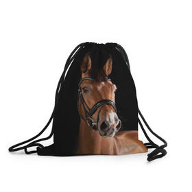 Рюкзак-мешок 3D с принтом Гнедая лошадь в Санкт-Петербурге, 100% полиэстер | плотность ткани — 200 г/м2, размер — 35 х 45 см; лямки — толстые шнурки, застежка на шнуровке, без карманов и подкладки | animal | beautiful | black | brown | eyes | gloss | harness | horse | look | muzzle | взгляд | глаза | гнедая | животное | конь | коричневый | красивый | лоск | лошадь | сбруя | скакун | черный