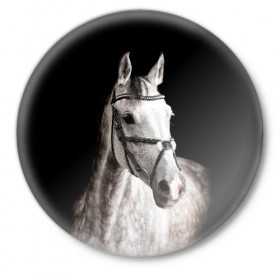 Значок с принтом Серный в яблоках конь в Санкт-Петербурге,  металл | круглая форма, металлическая застежка в виде булавки | animal | beautiful | black | eyes | gloss | harness | horse | look | muzzle | spotted | white | белый | в яблоках | взгляд | глаза | животное | конь | красивый | лоск | лошадь | пятнистый | сбруя | серый | скакун | черный