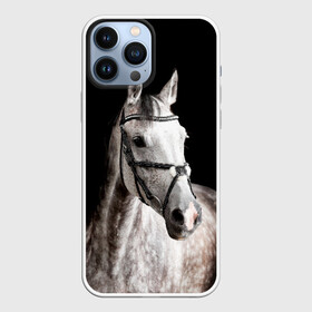 Чехол для iPhone 13 Pro Max с принтом Серный в яблоках конь в Санкт-Петербурге,  |  | Тематика изображения на принте: animal | beautiful | black | eyes | gloss | harness | horse | look | muzzle | spotted | white | белый | в яблоках | взгляд | глаза | животное | конь | красивый | лоск | лошадь | пятнистый | сбруя | серый | скакун | черный