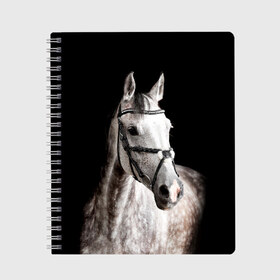 Тетрадь с принтом Серный в яблоках конь в Санкт-Петербурге, 100% бумага | 48 листов, плотность листов — 60 г/м2, плотность картонной обложки — 250 г/м2. Листы скреплены сбоку удобной пружинной спиралью. Уголки страниц и обложки скругленные. Цвет линий — светло-серый
 | animal | beautiful | black | eyes | gloss | harness | horse | look | muzzle | spotted | white | белый | в яблоках | взгляд | глаза | животное | конь | красивый | лоск | лошадь | пятнистый | сбруя | серый | скакун | черный