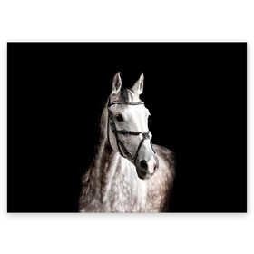 Поздравительная открытка с принтом Серный в яблоках конь в Санкт-Петербурге, 100% бумага | плотность бумаги 280 г/м2, матовая, на обратной стороне линовка и место для марки
 | Тематика изображения на принте: animal | beautiful | black | eyes | gloss | harness | horse | look | muzzle | spotted | white | белый | в яблоках | взгляд | глаза | животное | конь | красивый | лоск | лошадь | пятнистый | сбруя | серый | скакун | черный