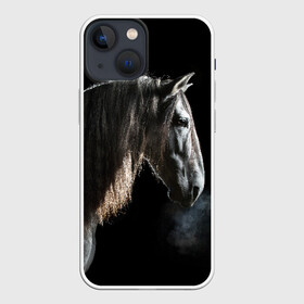 Чехол для iPhone 13 mini с принтом Серный в яблоках конь в Санкт-Петербурге,  |  | Тематика изображения на принте: animal | beautiful | black | eyes | gloss | harness | horse | look | muzzle | portrait | в яблоках | взгляд | глаза | животное | конь | красивый | лоск | лошадь | портрет | сбруя | серый | скакун