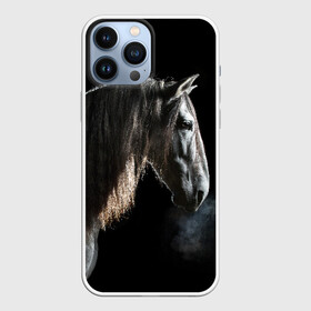 Чехол для iPhone 13 Pro Max с принтом Серный в яблоках конь в Санкт-Петербурге,  |  | animal | beautiful | black | eyes | gloss | harness | horse | look | muzzle | portrait | в яблоках | взгляд | глаза | животное | конь | красивый | лоск | лошадь | портрет | сбруя | серый | скакун