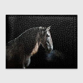 Обложка для студенческого билета с принтом Серный в яблоках конь в Санкт-Петербурге, натуральная кожа | Размер: 11*8 см; Печать на всей внешней стороне | animal | beautiful | black | eyes | gloss | harness | horse | look | muzzle | portrait | в яблоках | взгляд | глаза | животное | конь | красивый | лоск | лошадь | портрет | сбруя | серый | скакун