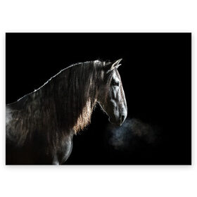 Поздравительная открытка с принтом Серный в яблоках конь в Санкт-Петербурге, 100% бумага | плотность бумаги 280 г/м2, матовая, на обратной стороне линовка и место для марки
 | animal | beautiful | black | eyes | gloss | harness | horse | look | muzzle | portrait | в яблоках | взгляд | глаза | животное | конь | красивый | лоск | лошадь | портрет | сбруя | серый | скакун