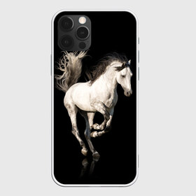 Чехол для iPhone 12 Pro Max с принтом Серный в яблоках конь в Санкт-Петербурге, Силикон |  | Тематика изображения на принте: animal | beautiful | black | gloss | horse | mane | mustang | muzzle | white | wild | белый | в яблоках | грива | дикий | животное | конь | красивый | лоск | лошадь | мустанг | серый | скакун | черный