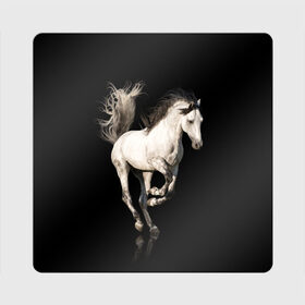 Магнит виниловый Квадрат с принтом Серный в яблоках конь в Санкт-Петербурге, полимерный материал с магнитным слоем | размер 9*9 см, закругленные углы | animal | beautiful | black | gloss | horse | mane | mustang | muzzle | white | wild | белый | в яблоках | грива | дикий | животное | конь | красивый | лоск | лошадь | мустанг | серый | скакун | черный