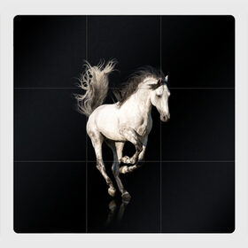 Магнитный плакат 3Х3 с принтом Серный в яблоках конь в Санкт-Петербурге, Полимерный материал с магнитным слоем | 9 деталей размером 9*9 см | animal | beautiful | black | gloss | horse | mane | mustang | muzzle | white | wild | белый | в яблоках | грива | дикий | животное | конь | красивый | лоск | лошадь | мустанг | серый | скакун | черный