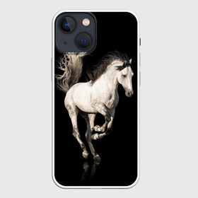 Чехол для iPhone 13 mini с принтом Серный в яблоках конь в Санкт-Петербурге,  |  | Тематика изображения на принте: animal | beautiful | black | gloss | horse | mane | mustang | muzzle | white | wild | белый | в яблоках | грива | дикий | животное | конь | красивый | лоск | лошадь | мустанг | серый | скакун | черный