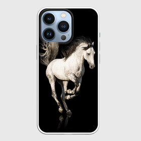 Чехол для iPhone 13 Pro с принтом Серный в яблоках конь в Санкт-Петербурге,  |  | animal | beautiful | black | gloss | horse | mane | mustang | muzzle | white | wild | белый | в яблоках | грива | дикий | животное | конь | красивый | лоск | лошадь | мустанг | серый | скакун | черный