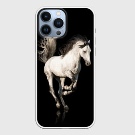 Чехол для iPhone 13 Pro Max с принтом Серный в яблоках конь в Санкт-Петербурге,  |  | animal | beautiful | black | gloss | horse | mane | mustang | muzzle | white | wild | белый | в яблоках | грива | дикий | животное | конь | красивый | лоск | лошадь | мустанг | серый | скакун | черный