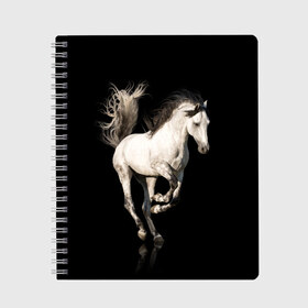 Тетрадь с принтом Серный в яблоках конь в Санкт-Петербурге, 100% бумага | 48 листов, плотность листов — 60 г/м2, плотность картонной обложки — 250 г/м2. Листы скреплены сбоку удобной пружинной спиралью. Уголки страниц и обложки скругленные. Цвет линий — светло-серый
 | Тематика изображения на принте: animal | beautiful | black | gloss | horse | mane | mustang | muzzle | white | wild | белый | в яблоках | грива | дикий | животное | конь | красивый | лоск | лошадь | мустанг | серый | скакун | черный