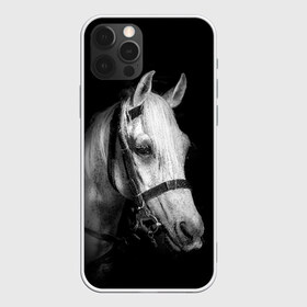 Чехол для iPhone 12 Pro Max с принтом Белая лошадь в Санкт-Петербурге, Силикон |  | animal | beautiful | black | eyes | gloss | harness | horse | look | muzzle | white | белый | взгляд | глаза | животное | конь | красивый | лоск | лошадь | сбруя | скакун