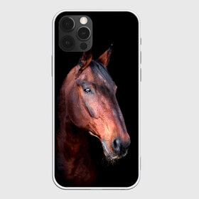 Чехол для iPhone 12 Pro Max с принтом Гнедая лошадь в Санкт-Петербурге, Силикон |  | animal | beautiful | black | brown | chocolate | eyes | gloss | horse | look | muzzle | portrait | взгляд | глаза | животное | конь | коричневый | красивый | лоск | лошадь | портрет | скакун | черный | шоколадный