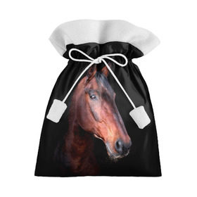 Подарочный 3D мешок с принтом Гнедая лошадь в Санкт-Петербурге, 100% полиэстер | Размер: 29*39 см | animal | beautiful | black | brown | chocolate | eyes | gloss | horse | look | muzzle | portrait | взгляд | глаза | животное | конь | коричневый | красивый | лоск | лошадь | портрет | скакун | черный | шоколадный